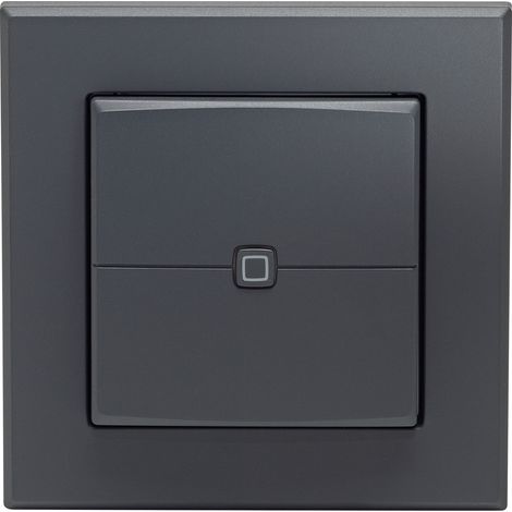 Interruttore da parete Homematic-ip hmip-wrc2-a-2 senza fili multifunzione (1/3)