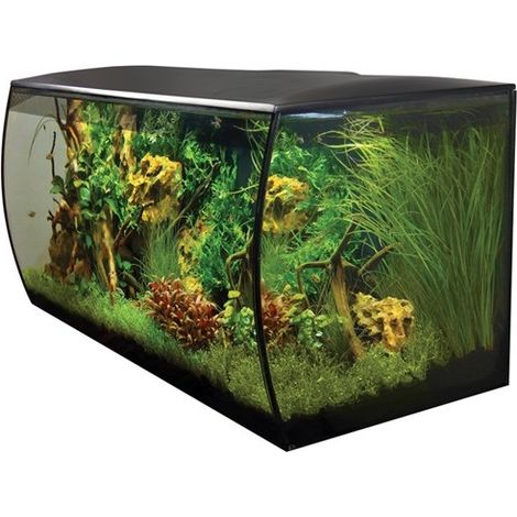 Flex Flex Aquarium 123 l Schwarz