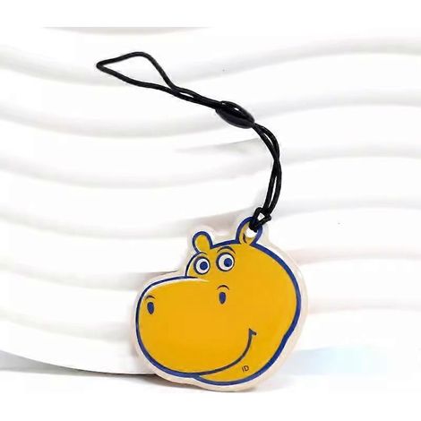 Carte porte-clés RFID multimode inscriptible et réinscriptible 125 kHz EM4305 T5577 (copie de puce vierge intelligente EM4100), 1 pièce (1/5)