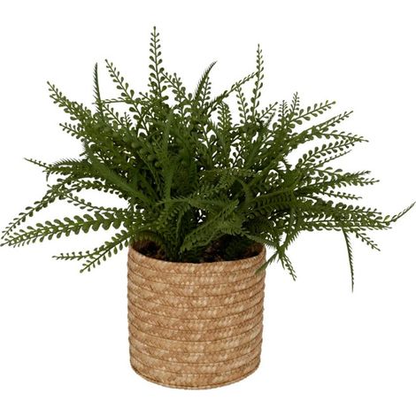 Fougère Artificielle en Pot "Clemy" 30cm Vert (1/3)