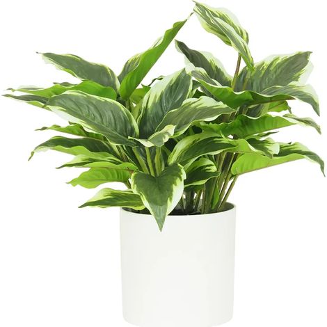 Dieffenbachia artificiel 40cm (1/4)