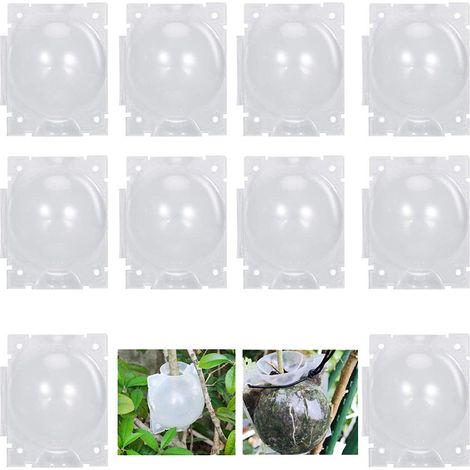 Greffoir à boules à sertir pour branches de jardin, 10 pièces (grande taille/couleur transparente) (1/5)
