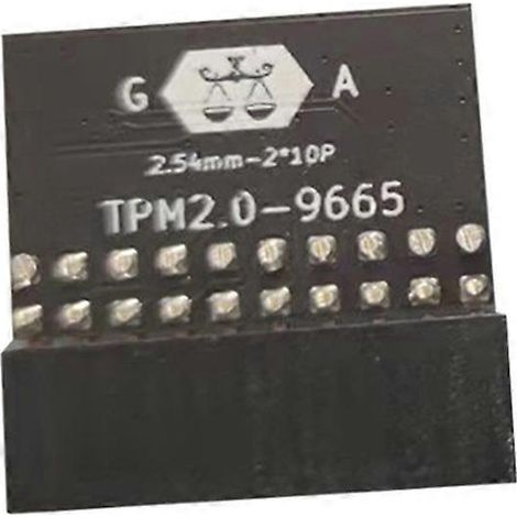 Module de sécurité crypté TPM 2.0 pour carte mère, noir (1/5)
