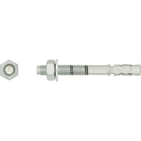 Goujon d'ancrage RAWL R XPT 06065 6x65 mm Zinc plaqué Boîte de 100