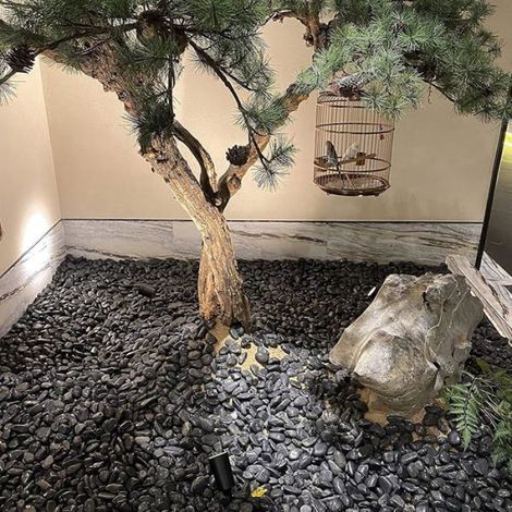 1KG Galets Naturels, Pierres de Rivière Polies Noires Galets Décoratifs Roches de Rivière Plantes Bambou, Aquarium, Remplisseurs (1/5)