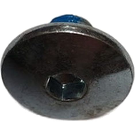 Tornillo Ref 4600056