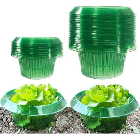 Anneaux anti-limaces, protections anti-escargots pour plantes, anneaux anti-insectes pour pots de fleurs — aident les plantes à pousser fortes et saines (paquet de 10, verts) (1/5)