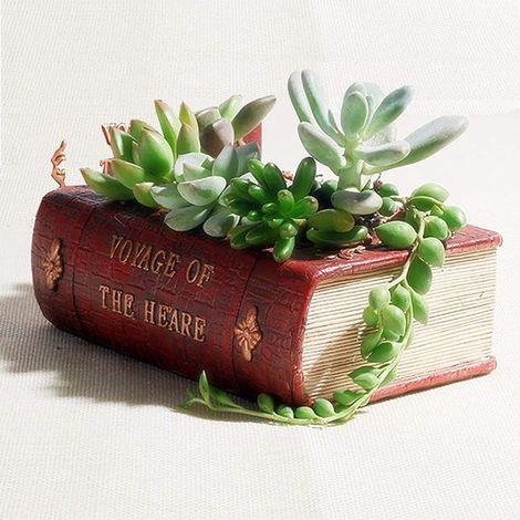Maceta para suculentas, Maceta con forma de libro, Bonita maceta de resina, drenaje creativo, caballeros, oficina, 14 cm x 10 cm x 5 cm (1/5)