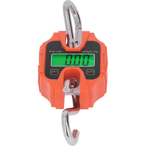 Balance numérique portable 250kg avec affichage LCD amovible pour pesage industriel