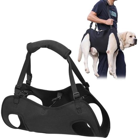 Hundegeschirr – Brustgeschirr für Hunde – Verstellbare Hinterbeinstütze – Größe M (1/5)