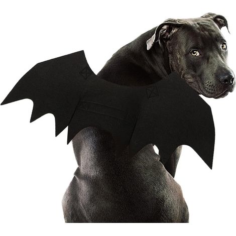 Costume de chauve-souris pour chien, ailes, Halloween, cosplay (1/5)