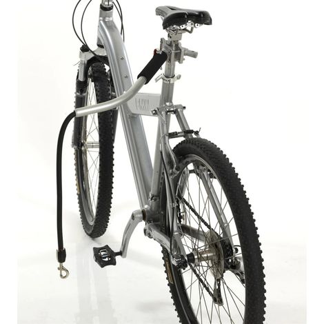 PetEgo Laisse de vélo universelle pour chiens Cycleash 85 cm (1/5)