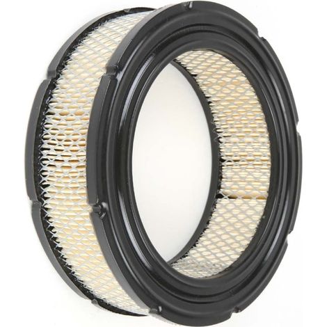 Filtre à air pour Briggs & Stratton 806232, 692519 (1/5)