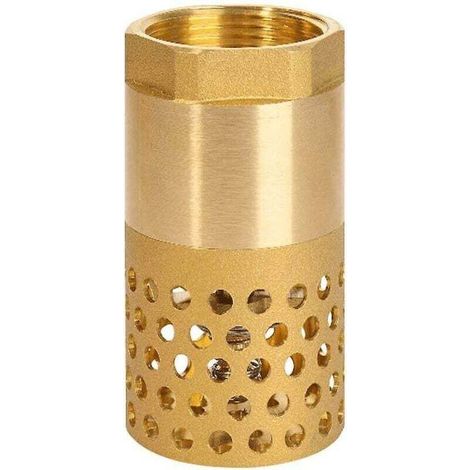 Clapet Anti-Retour - 1 Pouce DN25 - Pour Pompe Et Systeme D Irrigation - 1 Piece