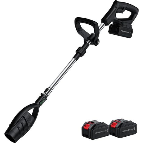 Souffleur de Feuilles sans Fil 21V Rétractable Léger et Ergonomique, 2 Batteries, Souffleur d'Air pour Jardin, Balcon, Cour, Garage et Nettoyage Auto (1/5)