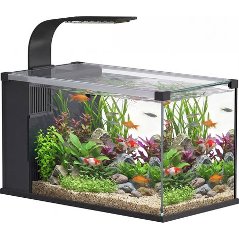 Acquario, 24L in Vetro Temperato con Filtro, Luce LED e Pompa dell'Acqua