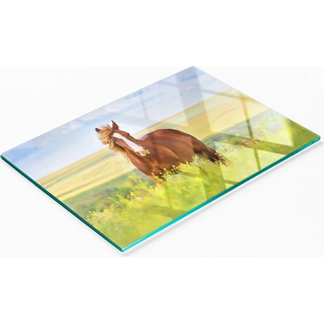 Tabla de cocina de vidrio templado con gráficos decorativos de caballo marrón, 80x52 cm (1/5)