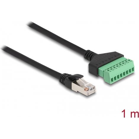 Delock Cable RJ45 Adaptador de Cat.6 macho a bloque de terminales 1 m 2 piezas