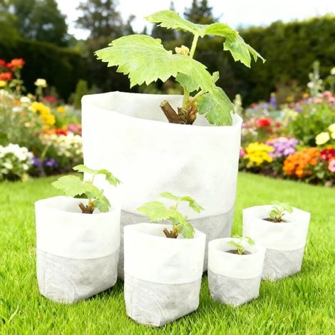 Sacs de semis biodégradables (120 x 145 mm) - Sacs de culture non tissés et respirants pour potager, jardin et pépinière - Offre spéciale (1/5)