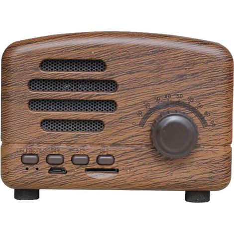 Radio Mini - AM FM Ondes Courtes - Bluetooth 4.0 - Haut-Parleur Portable avec Batterie Rechargeable 1200 mAh - 1 Pièce (1/5)