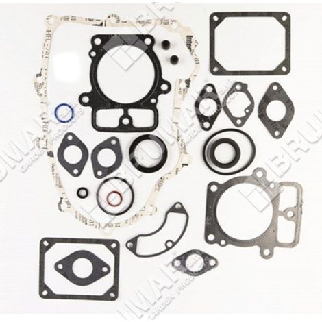Serie guarnizioni per motori BRIGGS & STRATTON 699823 Compatibile - 027351