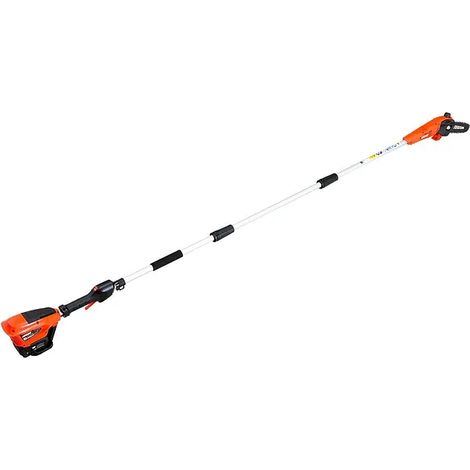 Potatore con asta Echo DPPF-310 barra 20cm senza batteria e carica