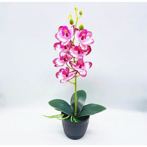 Orchidée Artificielle - En Pot - 41 cm - Rose Foncé - Faux Bonsaï - 1 Pièce (1/2)