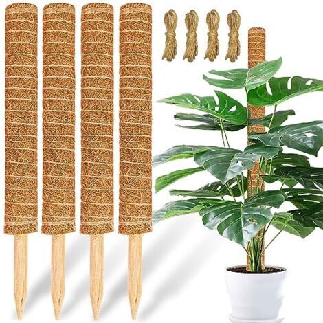 BUNTHAUS Les supports pour plantes en mousse et les supports pour plantes en fibre de coco, de 43 cm de diamètre et jusqu'à 135 cm de hauteur, conviennent aux plantes grimpantes d'intérieur. (1/5)