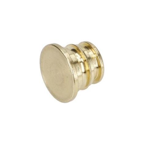 Bouchon pour Nettoyeur pression BOSCH OUTILLAGES - F016L72024