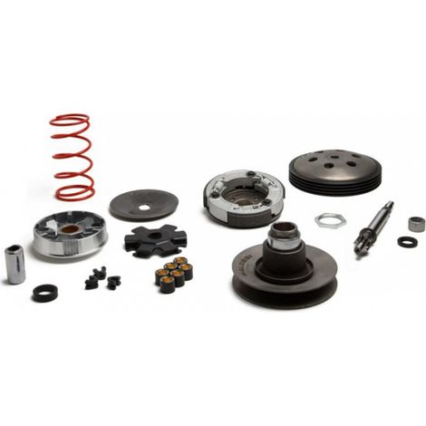 Variateur Malossi Over Range für Mofas Piaggio 50 Ciao PX (1/4)