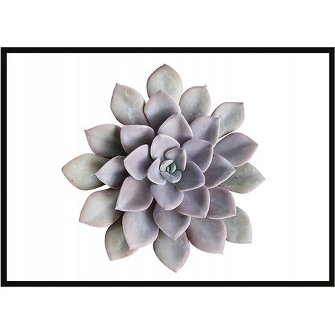 POSTER FOTOGRAFICO IN CORNICE 53x73 cm Fiore P1048 (1/3)