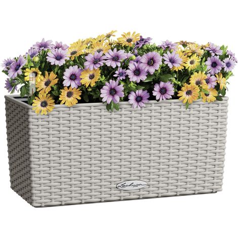 Lechuza Blumenkasten-Set Balconera Cottage 40 Kunststoff sandbraun 40,4 x 19,2 cm Blumenkasten