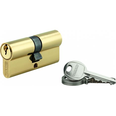 Cilindro europeo SA UNIKEY 35 x 35 mm in ottone, chiave uguale, 3 chiavi, vite 50 mm - THIRARD (1/3)