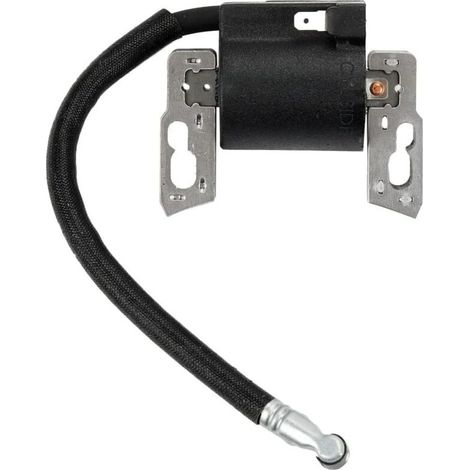 Remplacer la Bobine d'allumage pour Briggs & Stratton Magneto Armature 495859 491312 490586 492341 Nouveau (1/5)