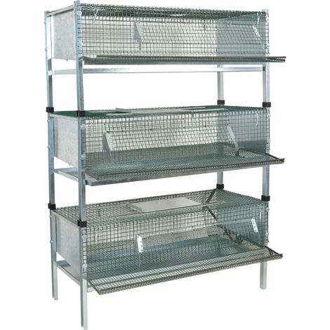 Kit 3 cages cailles pondeuses (1/3)
