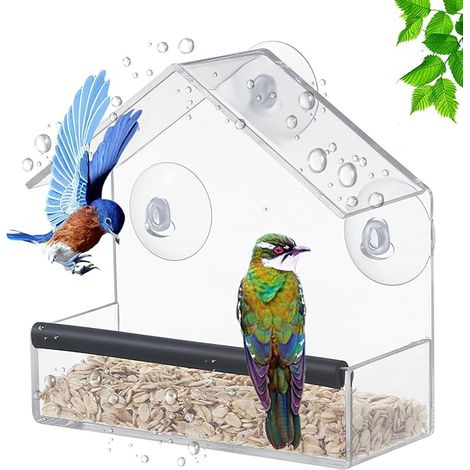 Window Bird Feeder: transparent feeders with strong suction cups, outdoor feeding station, garden, bird watching (1/5)