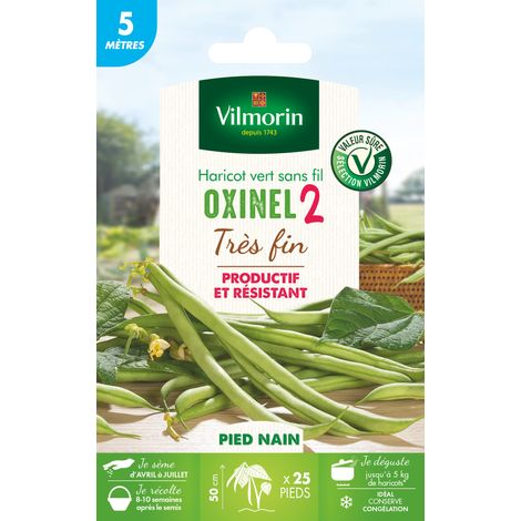 Haricot Nain Vert Oxinel 2 - 5 m Vilmorin (1/3)