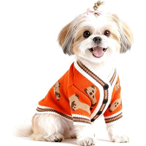 CCYKXA Gestrickter Hundepullover mit Teddybärmuster, Größen S und M, Rot XXS, Weiche Kleidung für Welpen und Bichons, Leicht anzuziehen, Ideal für Weihnachten oder (1/5)