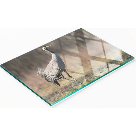 Planche décorative multifonctionnelle de cuisine en verre trempé Czapla 80x52 cm (1/5)