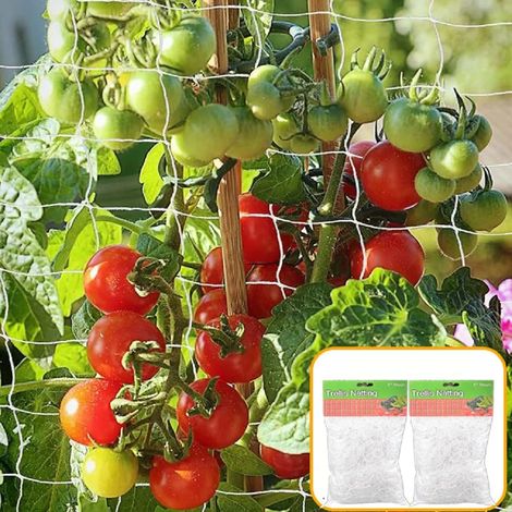 Paquet de 2 plantes escalade filet treillis filet jardin plante Support filet concombre treillis filet Support, 3.34 X10m (1/5)