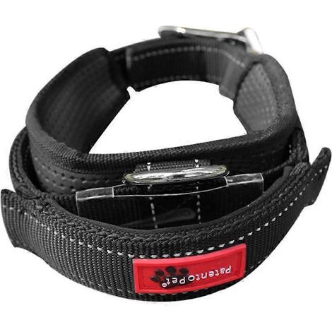Chaton Chiot Collier de Sécurité Gothique pour Chien Chien pour Chat Collier pour Animal Nylon L Noir (1/4)
