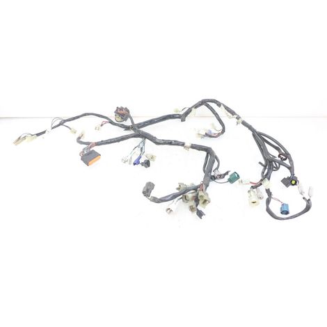 FAISCEAU YAMAHA XT X 660 2004 - 2016 (1/5)