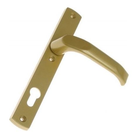 Maniglia per porta verniciata color oro, 72 mm, con azionamento a chiave - MP KL D7K PLN