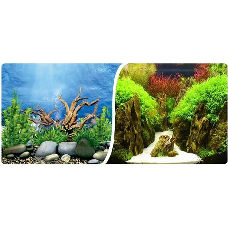 Papier peint photo décoratif double face pour aquarium, découpé en rouleau de 60 cm