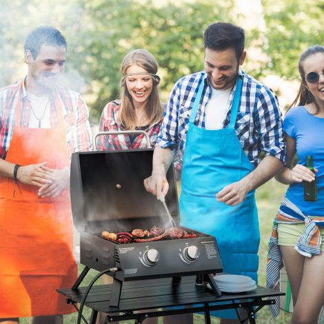 Grill à gaz BBQ pliable avec 2 brûleurs et couvercle, thermomètre lisible, 55 x 46,5 x 41 cm, acier au carbone & acier inoxydable, noir