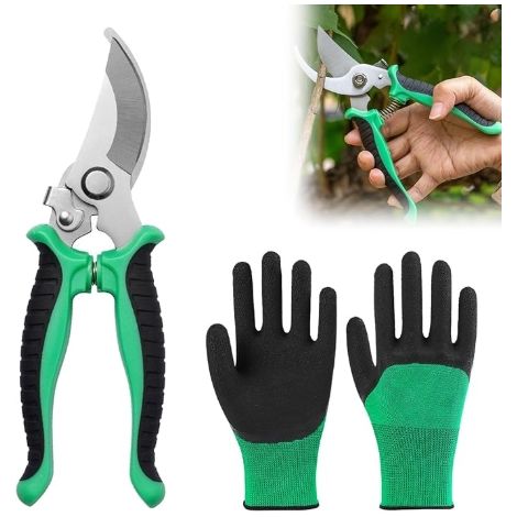 Garden Pruner, Gardening Scissors, Professional Garden Pruner, Garden Scissors, Garden Secateur, Branch Cutter, with Gardening Gloves, for Pruning Shrubs, Fences (1/5)