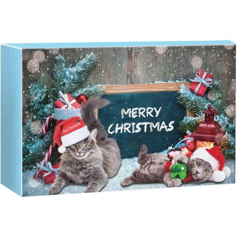 Katzen-Adventskalender: 24 Tage voller Spielzeug und Leckerlis für Katzen, interaktives Katzenminze-Spielzeug, das perfekte Geschenk für Katzenliebhaber