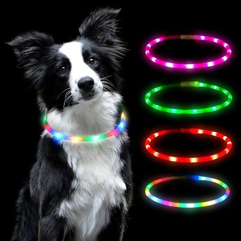 Collier lumineux LED pour chien, rechargeable par USB, résistant à l'eau, réfléchissant, lumière clignotante pour l'obscurité, peut être coupé à la taille désirée pour n'importe quel chien (1/5)