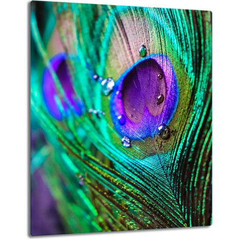 TABLERO DE MESA DE PANEL DE CRISTAL 40x52 PLUMAS (1/5)