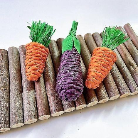 Lot de 3 jouets à mâcher pour oiseaux : jouet interactif pour nettoyer les dents des perroquets, jouet à paille pour petits animaux (lapin, souris).